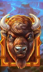 Buffalo Gold Canyon